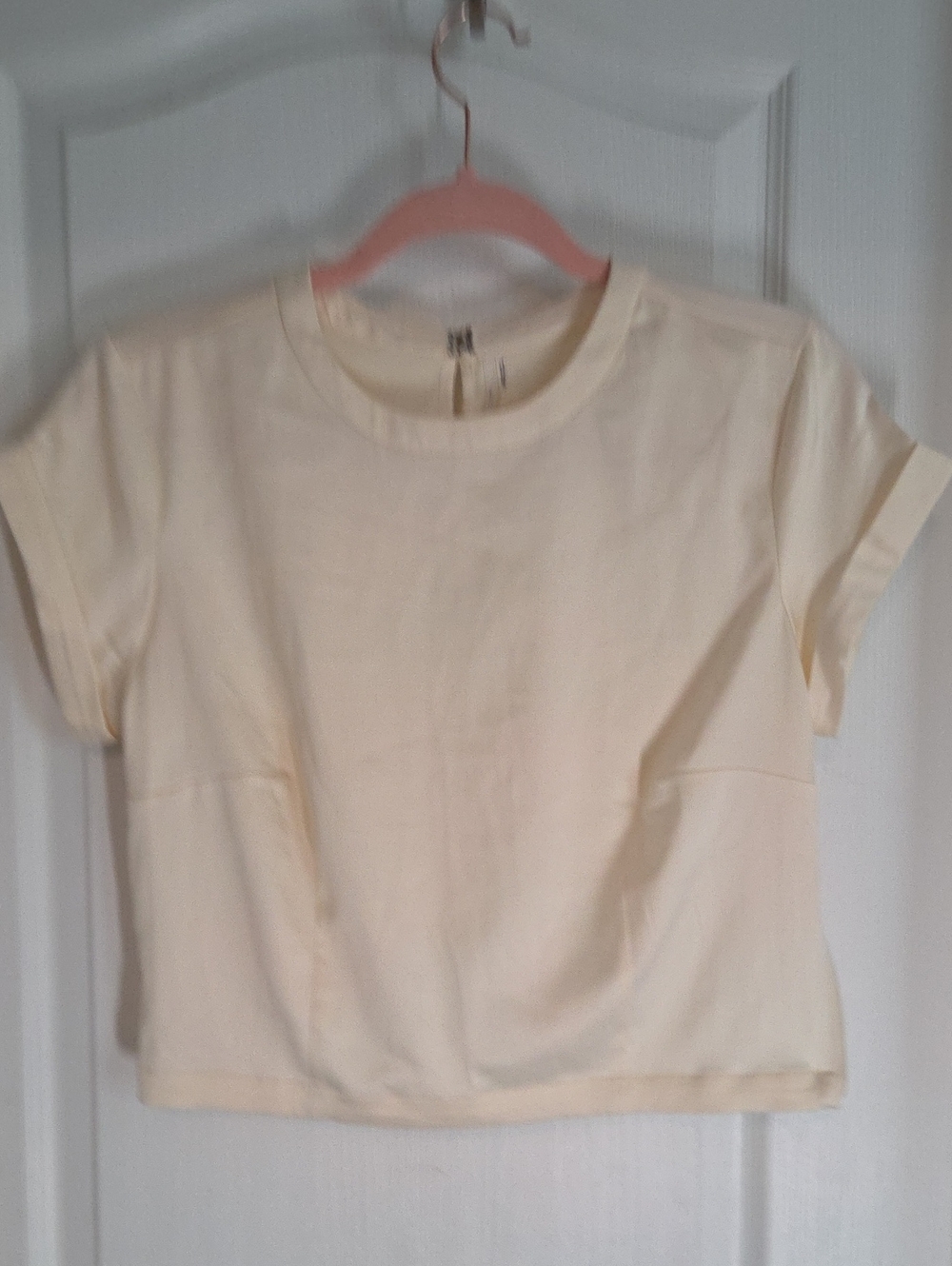 Anthropologie Cream Short Sleeve Crop Top